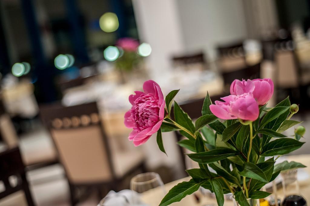 מחמודיה Hotel Mon Jardin מראה חיצוני תמונה
